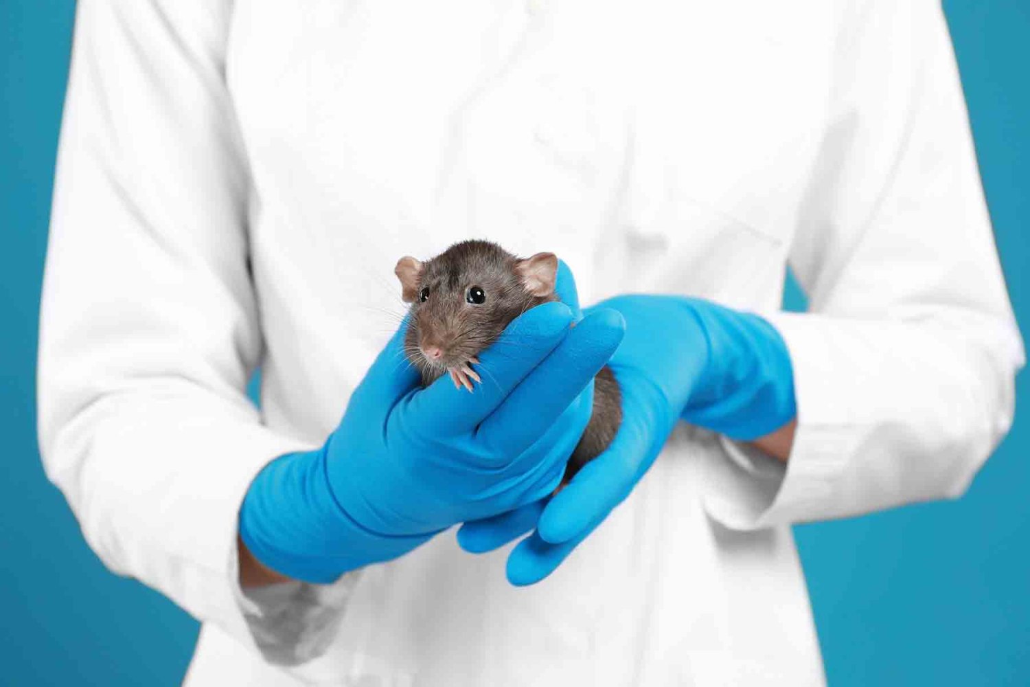 quienes atienden el hantavirus