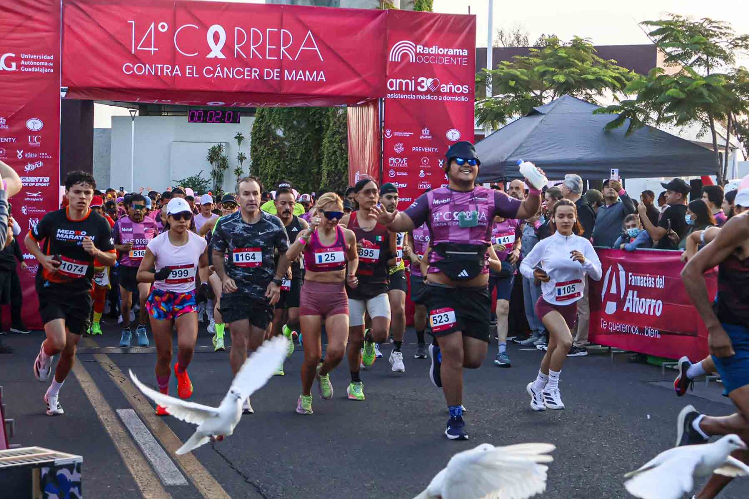 esta fue la edicion numero 14 de la carrera contra el cancer de mama