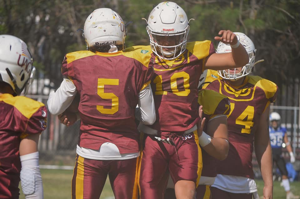 Que hace un quimico farmaceutico biologo QFB