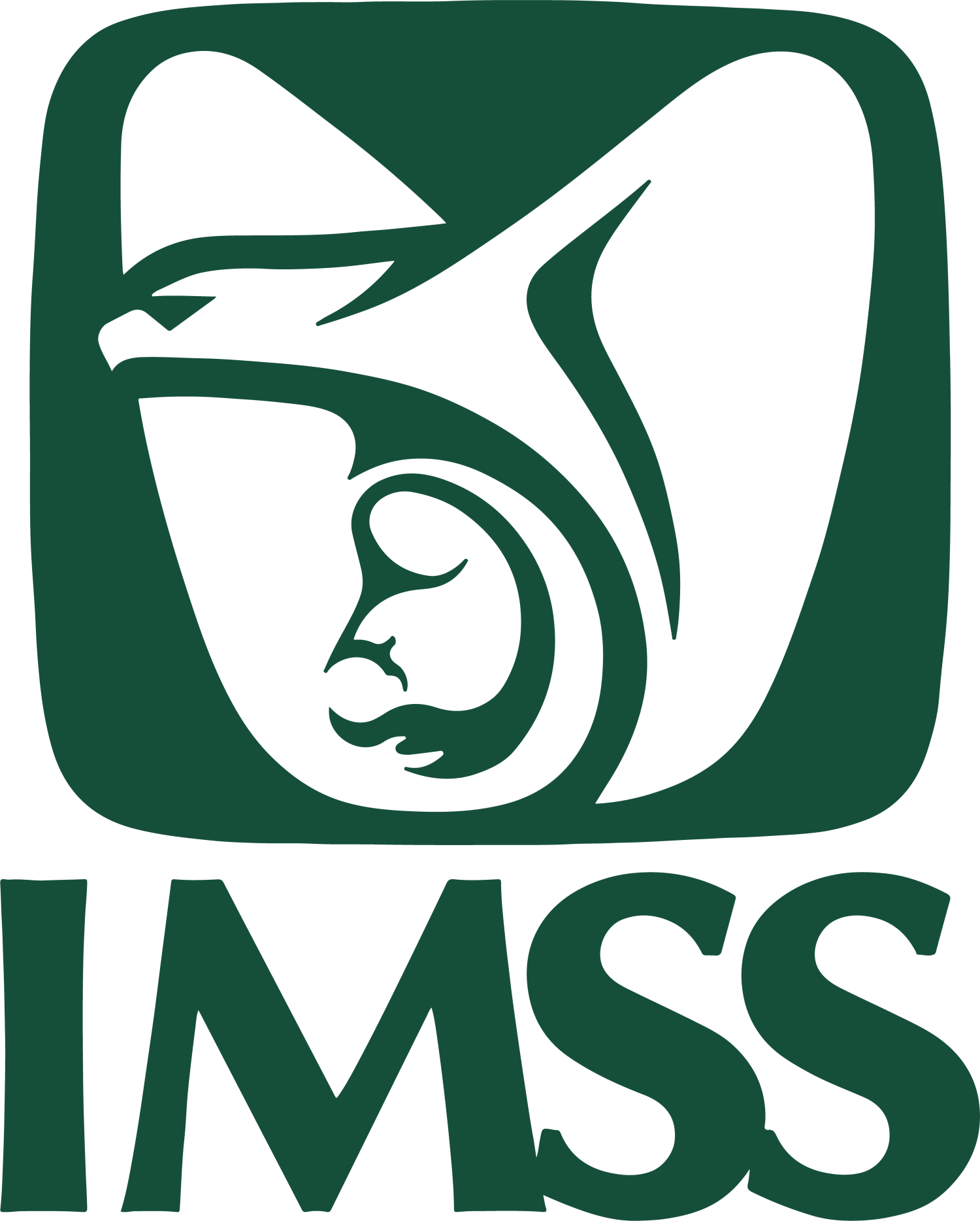 Instituto Mexicano del Seguro Social (IMSS)  