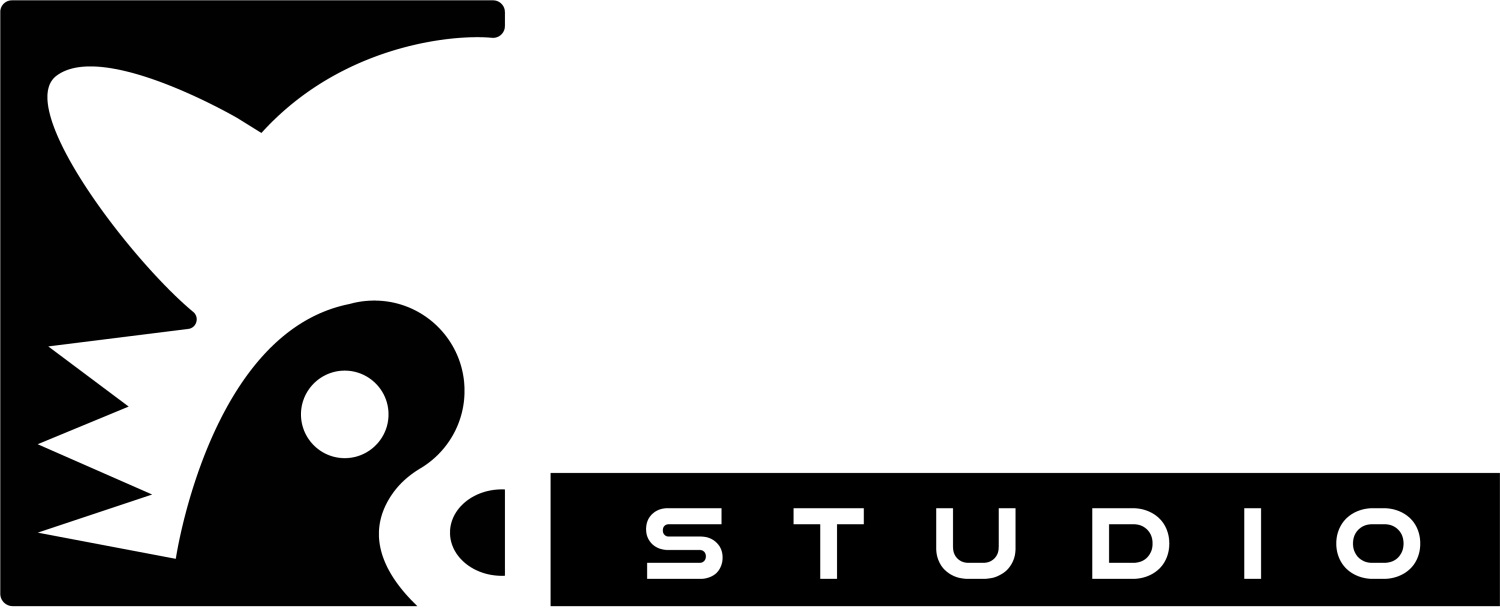 Logo Mad Raccoon Studio