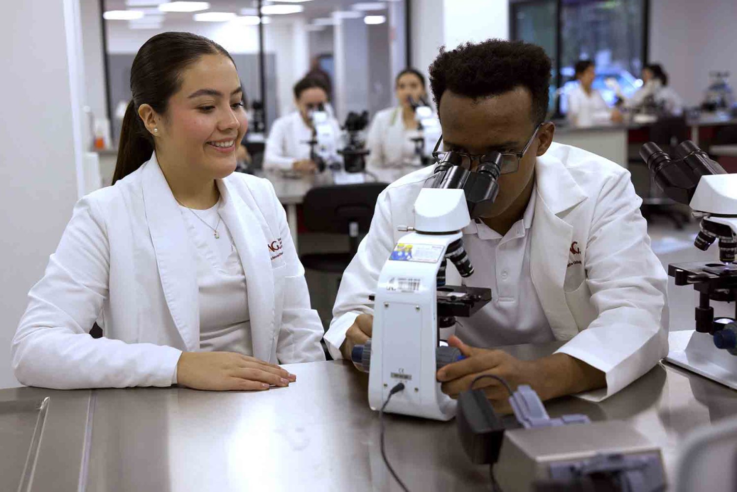 esta carrera tambien te forma para desarrollarte en la investigacion