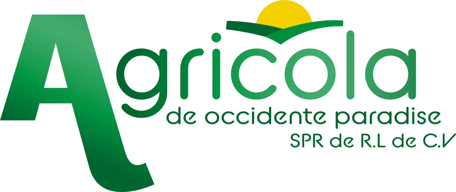 AGRICOLA DE OCCIDENTE PARADISE SRP DE R.L DE  CV