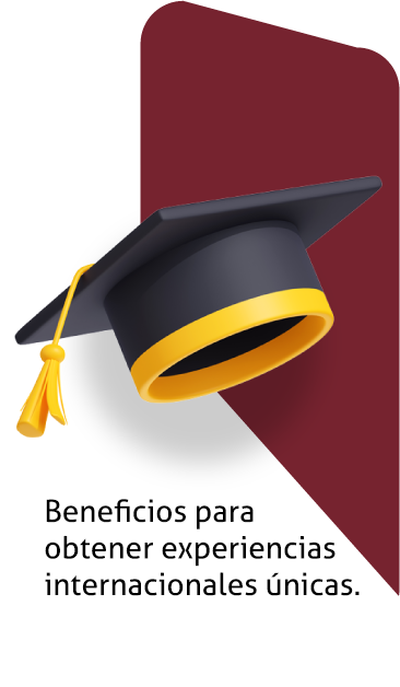 Experiencias Internacionales