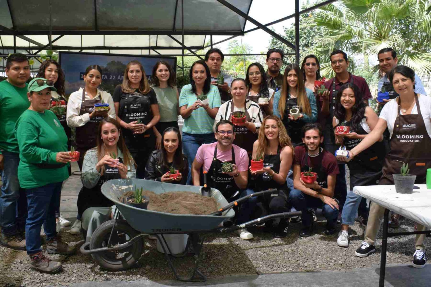 innovación y plantas