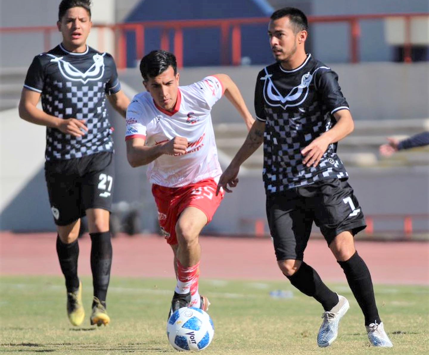 tecos sigue con paso perfecto en la liga premier