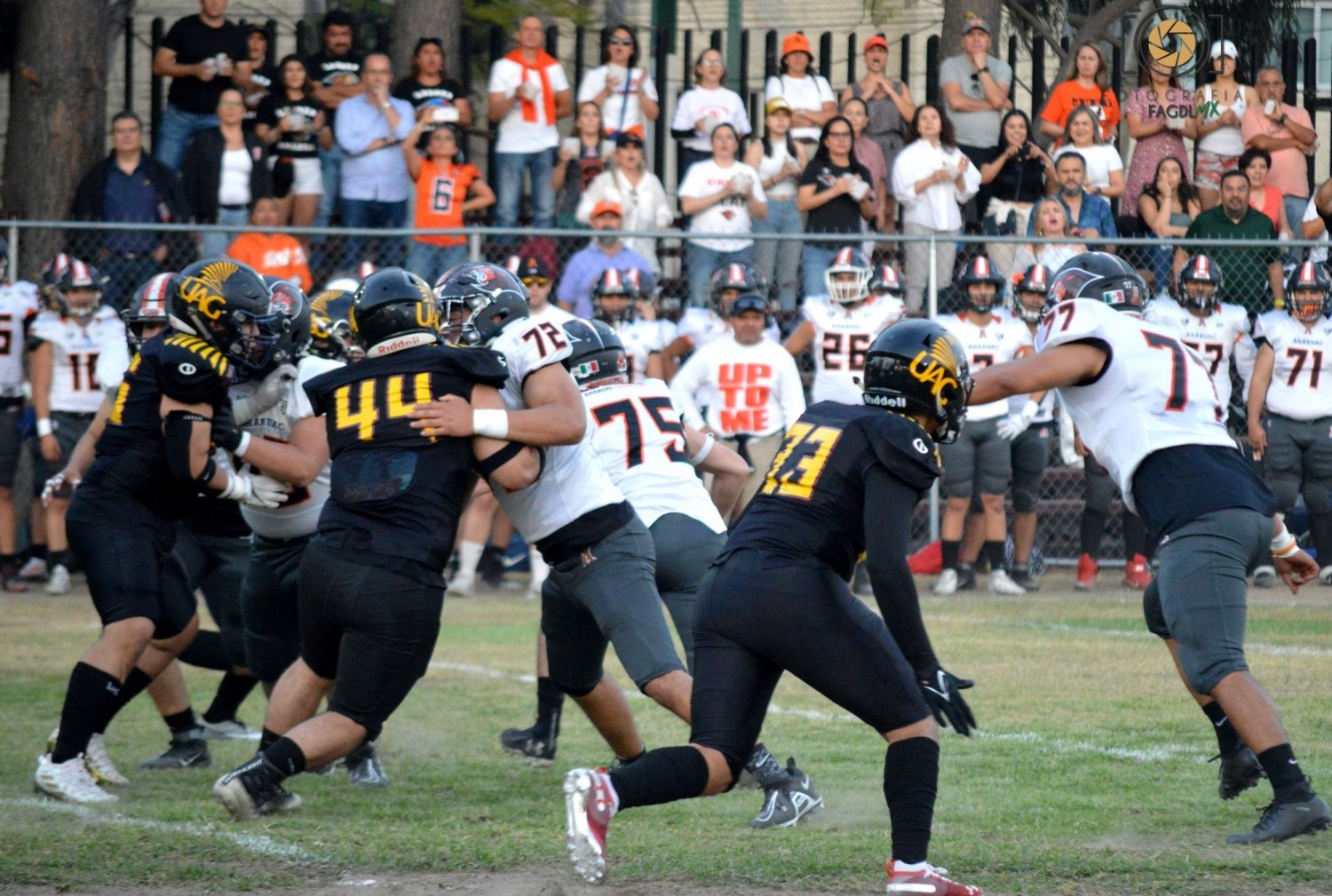 tecos enfrentara a leones en la liga intermedia