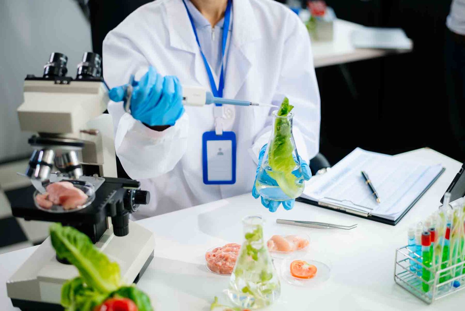 donde puede trabajar un ingeniero en alimentos