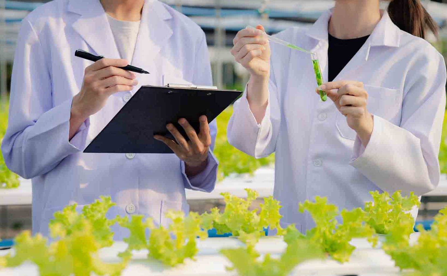 que hace un ingeniero en alimentos