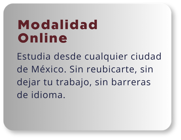 MBA Internacional Online | UAG