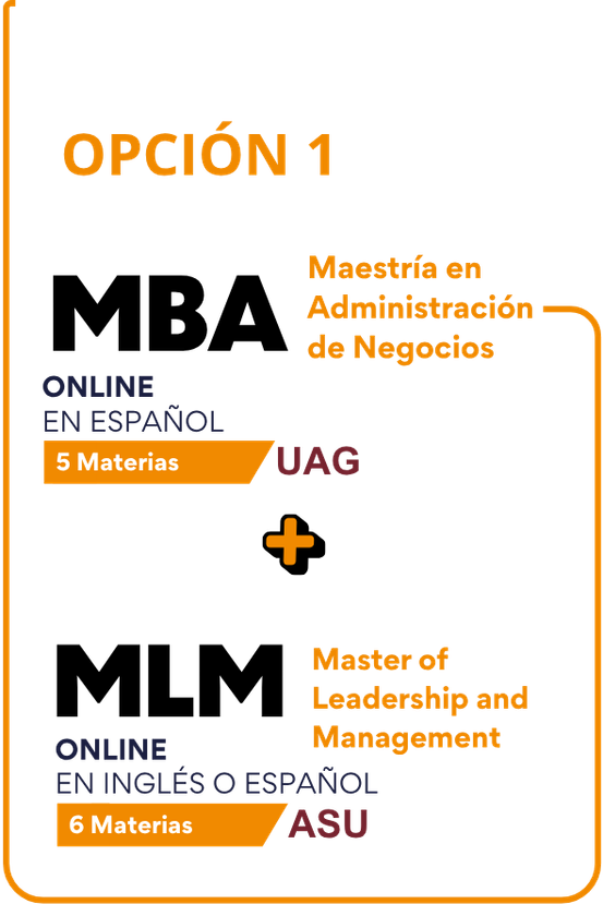 Opción 2