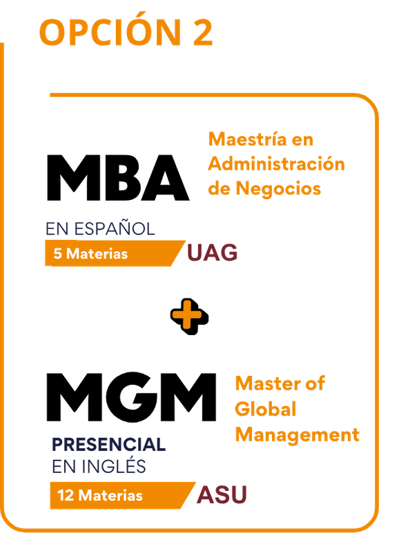 Opción 3