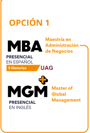 Opción 2